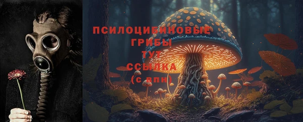 тгк Липки