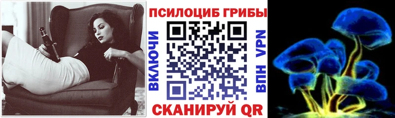 Купить где  Выкса  Псилоцибиновые грибы Psilocybe 