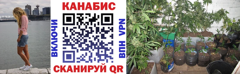 Каннабис марихуана Выкса